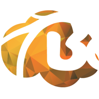 Binary Elements Logo